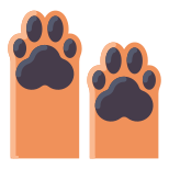 Paws icon