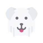 Soft Coated Wheaten Terrier icon