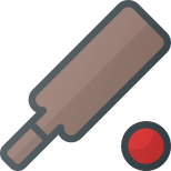 Cricket icon