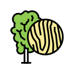 桦木 icon