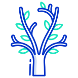 Arbre icon