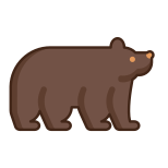 Bear icon