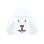 Poodle icon