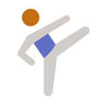 Taekwondo-Hauttyp-4 icon