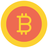 Bit coin icon