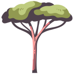 Tree icon