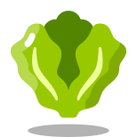 Lechuga icon