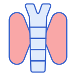 Thyroid icon