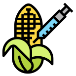 Corn icon