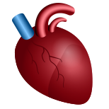 해부학적 심장 icon