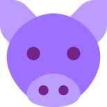 Anno del maiale icon