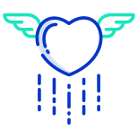 Heart Wings icon