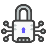 Digital Lock icon