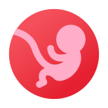 胚胎 icon