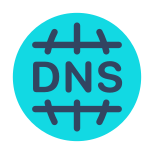 DNS icon