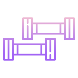 Dumbbell icon