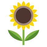 Sonnenblume icon