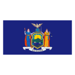 New York Flag icon