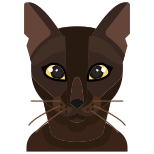 Cat icon