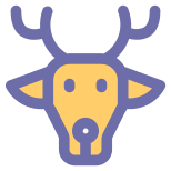 Cervo icon
