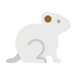 Ratón icon