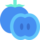 Persimmon icon