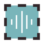 Voice Id icon