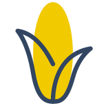 Corn icon