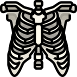 Skelett icon