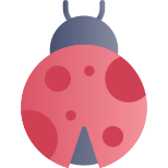 lady Bug icon