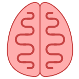 Cerveau icon