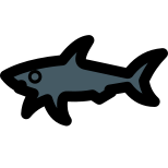 Paul & Shark an Italian clothing brand icon