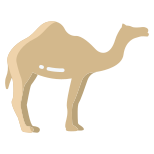 Camel icon