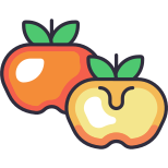 Persimmon icon