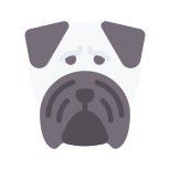 Pug icon
