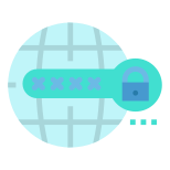 Password icon