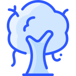 Arbre icon