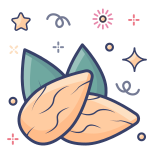 Almonds icon