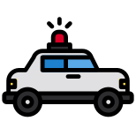 Auto della polizia icon