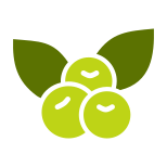 Berries icon