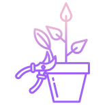 Pruning Shrubs icon