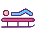 Luge icon