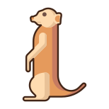 Meerkat icon