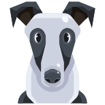 Perro icon