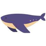 Baleine icon