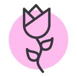 Blossom icon