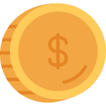 coin icon