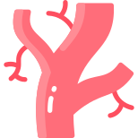 Arteries icon