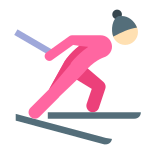 クロスカントリー スキー スキン タイプ 1 icon