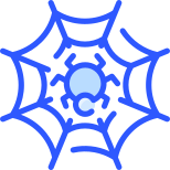 Spinne icon